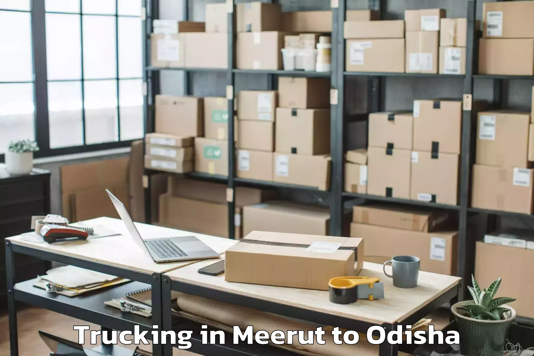 Book Meerut to Pipili Trucking